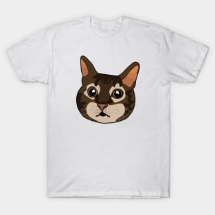 Lovely Tabby Cat T-Shirt